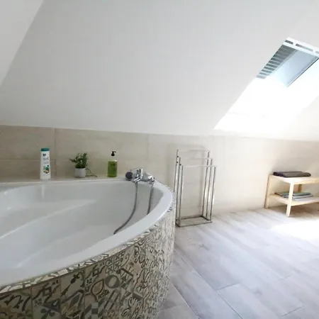 Appartement Center - Duplex Marigny - Bookingalsace Colmar