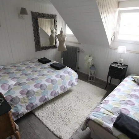 Center - Duplex Marigny - Bookingalsace *