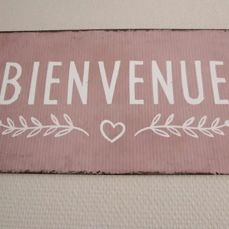 Center - Duplex Marigny - Bookingalsace Apartment Colmar