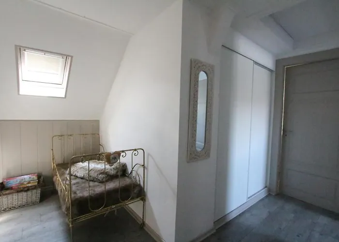 Daire Center - Duplex Marigny - Bookingalsace Colmar