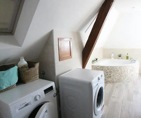 Center - Duplex Marigny - Bookingalsace *