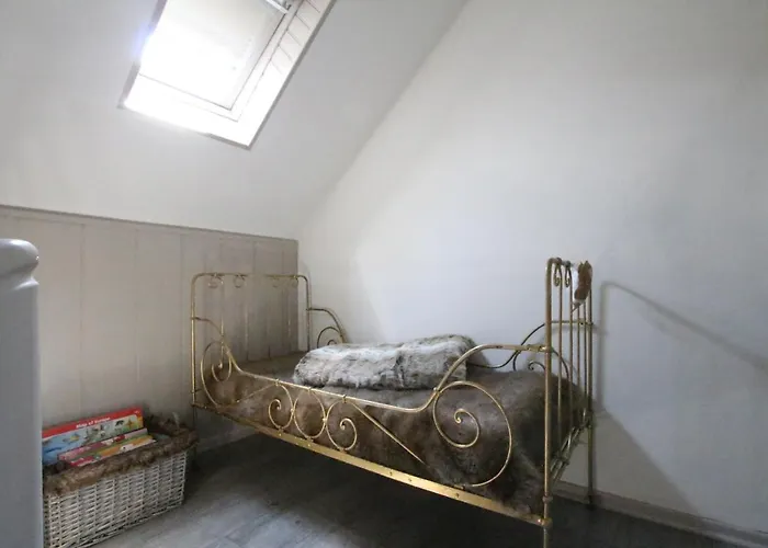 Center - Duplex Marigny - Bookingalsace Daire *