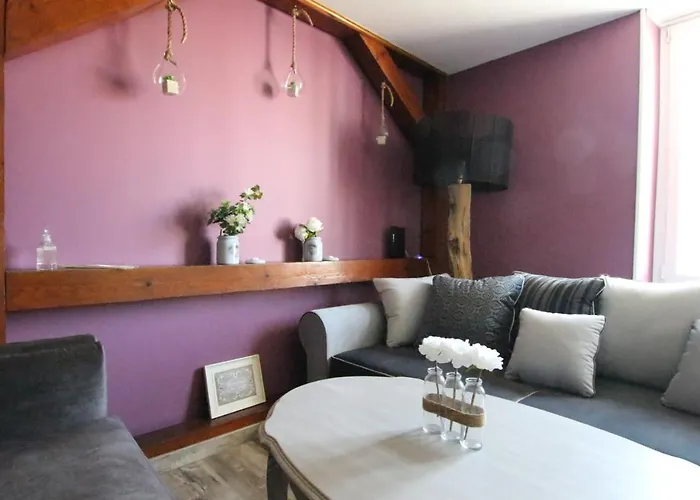 Center - Duplex Marigny - Bookingalsace Daire *