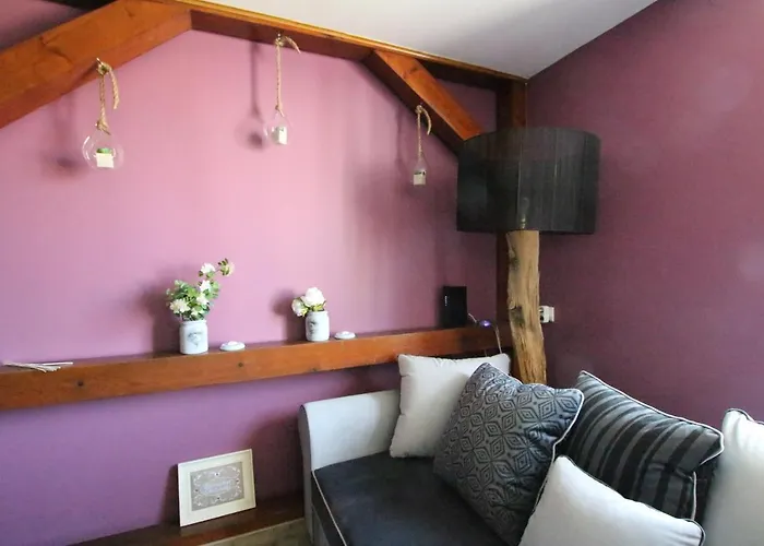 Center - Duplex Marigny - Bookingalsace Colmar
