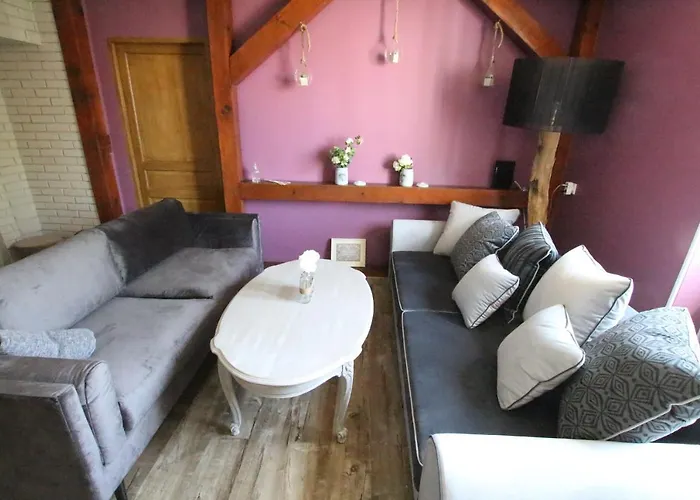 Center - Duplex Marigny - Bookingalsace Daire Colmar