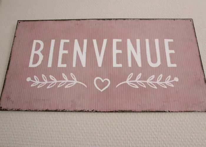 Center - Duplex Marigny - Bookingalsace Daire Colmar